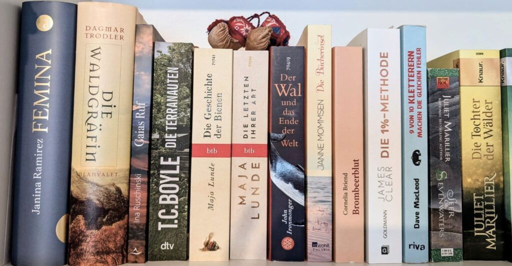 Blick in mein Buchregal heute